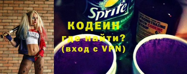 твердый Арсеньев