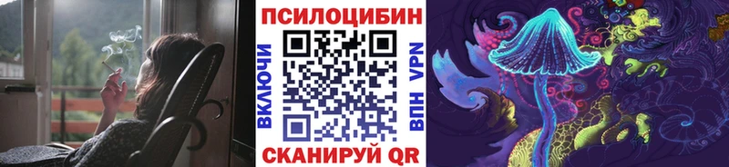 мориарти телеграм  Сухиничи  Галлюциногенные грибы Cubensis 